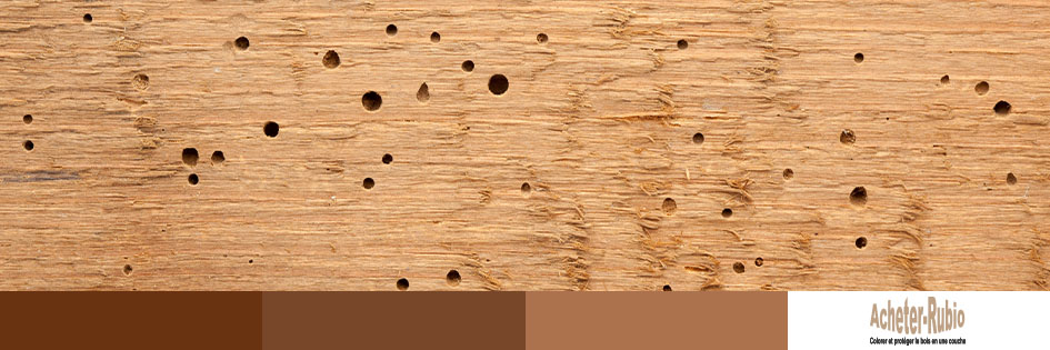 protection bois extérieur contre les insectes