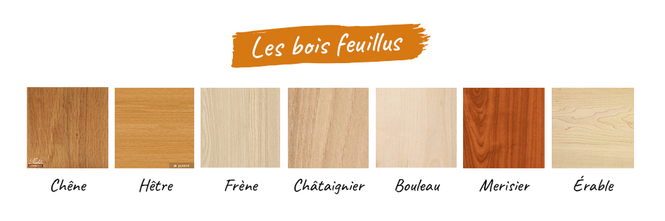 Essence de bois feuillus
