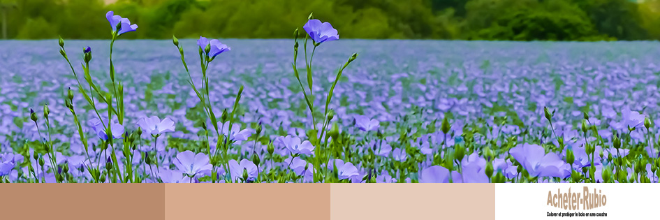 Linseed oil for exterior wood