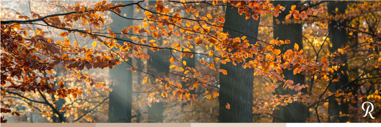 inconvénients plan de travail hetre